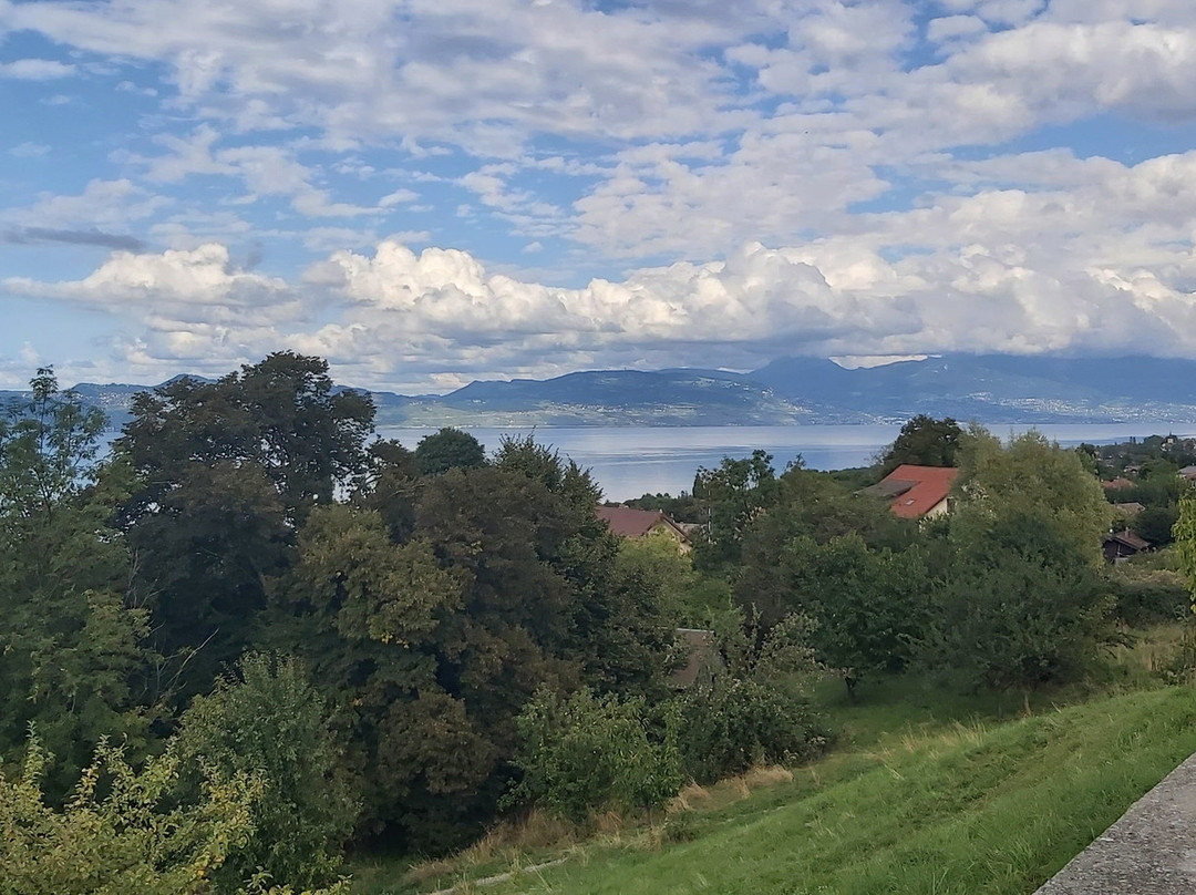 依云登山缆车-依云必去景点