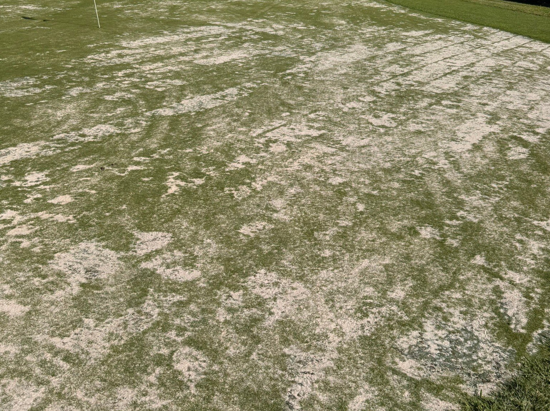 Club De Golf Bonalba-Mutxamel必去景点