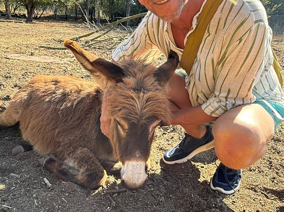 Corfu Donkey Rescue-Paleokastritsa必去景点