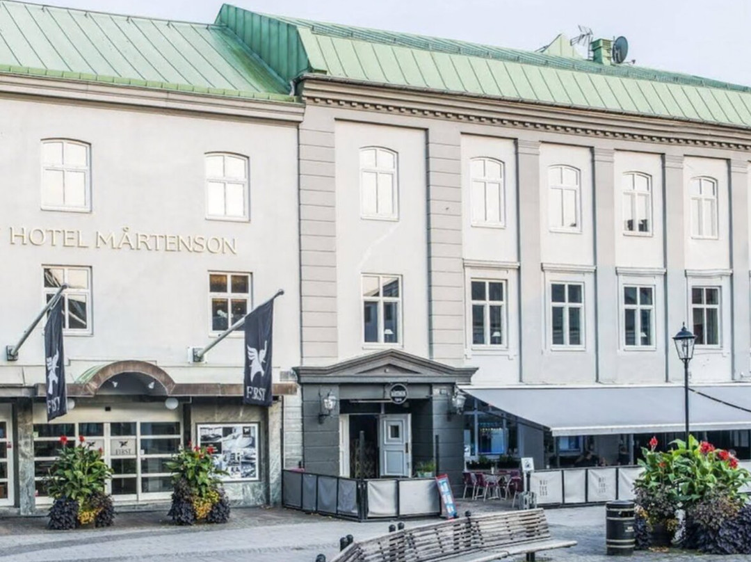 玛腾松第一酒店主图