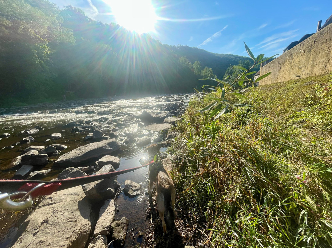 Altstadt Meisenheim-Meisenheim必去景点