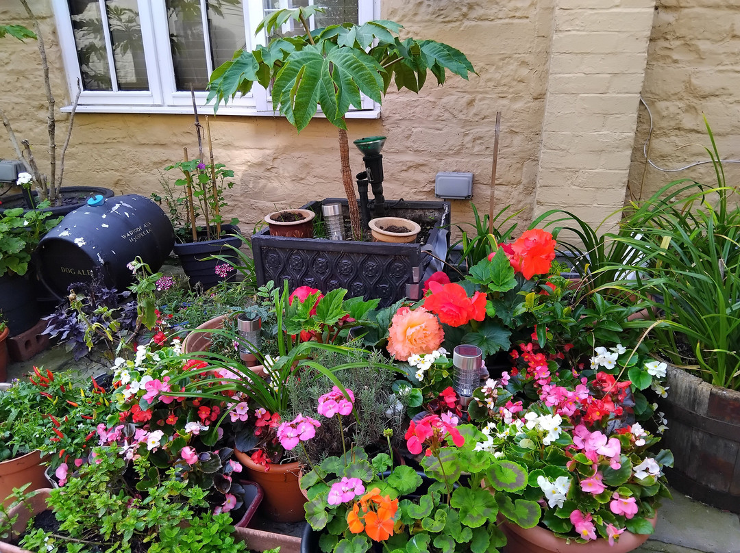 Langport Arms Hotel主图