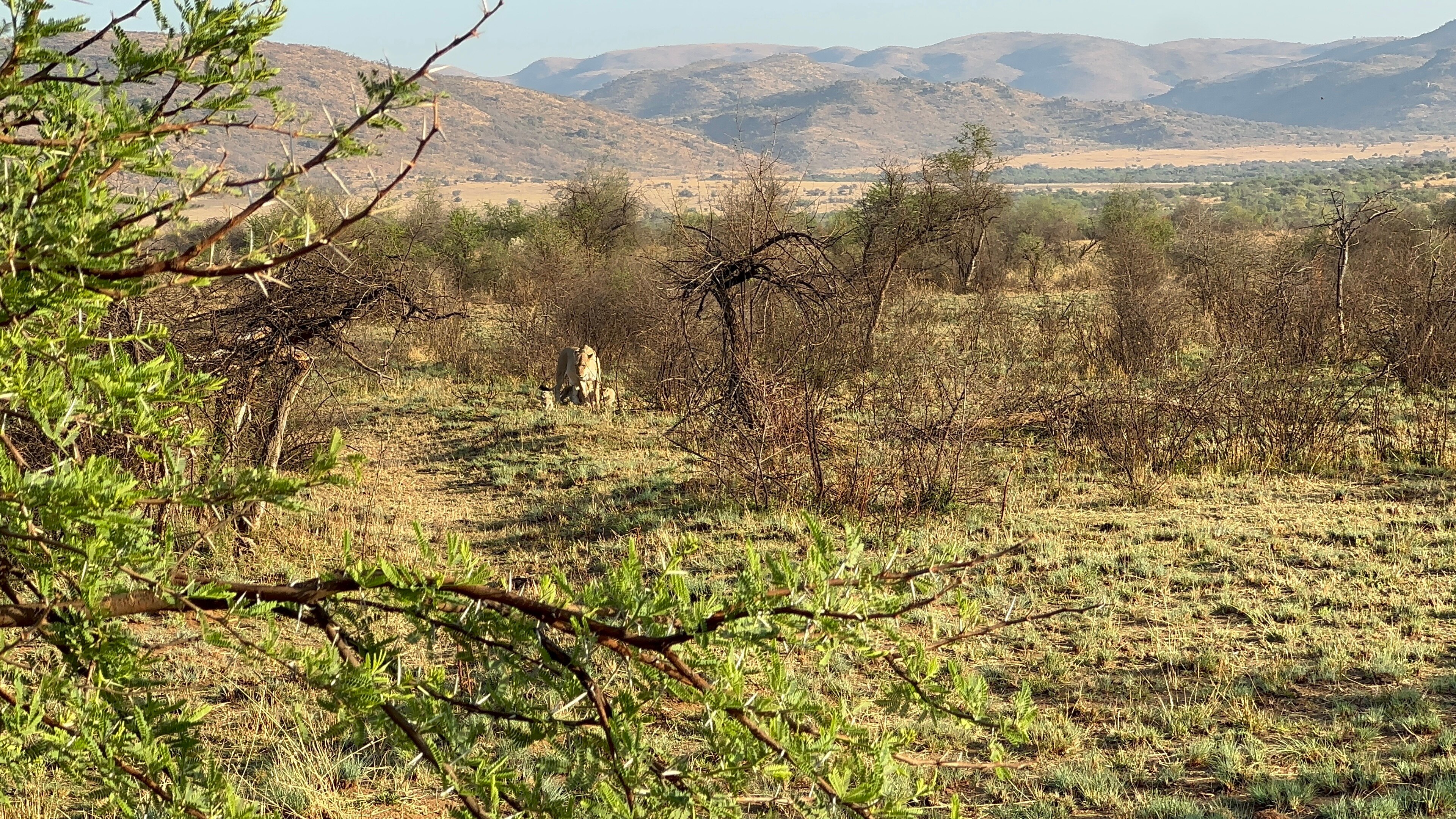 土瓜湾海滨小屋-官方