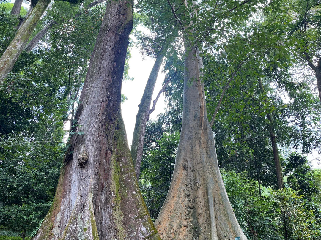 Travalcore Tour-雅加达必去景点
