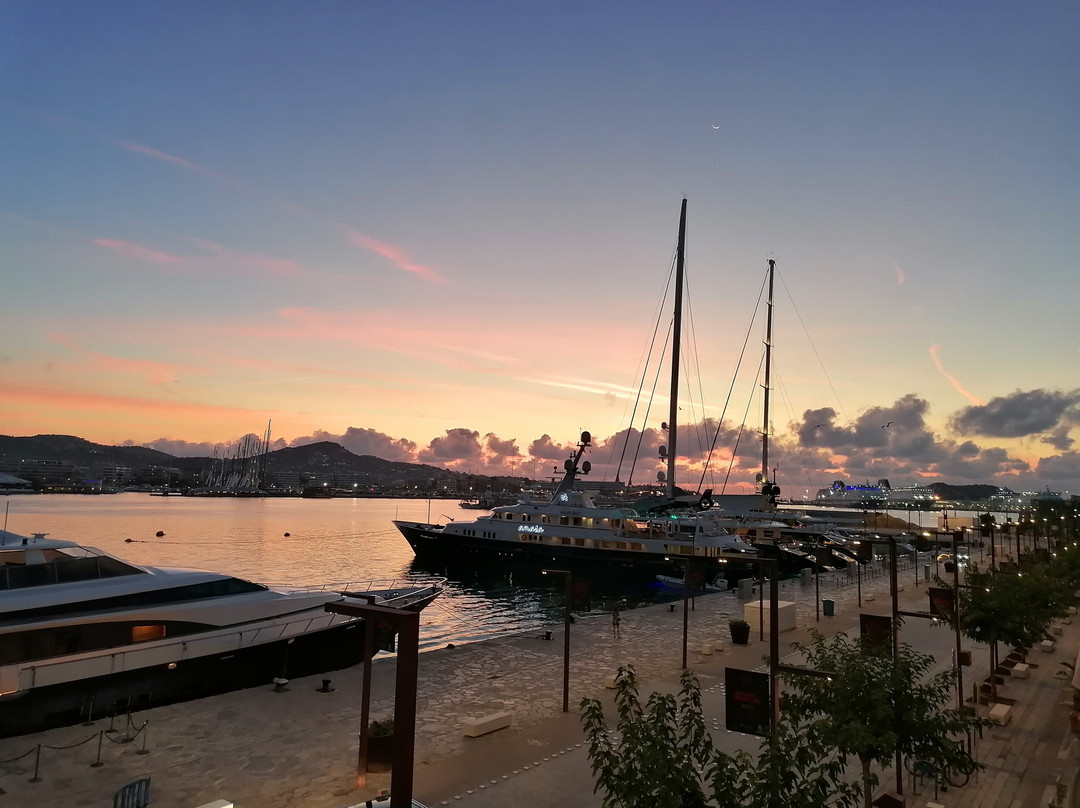 Ryans La Marina主图