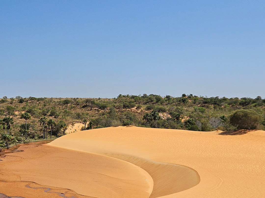 Jalapão Gaviões do Cerrado-Ponte Alta do Tocantins必去景点