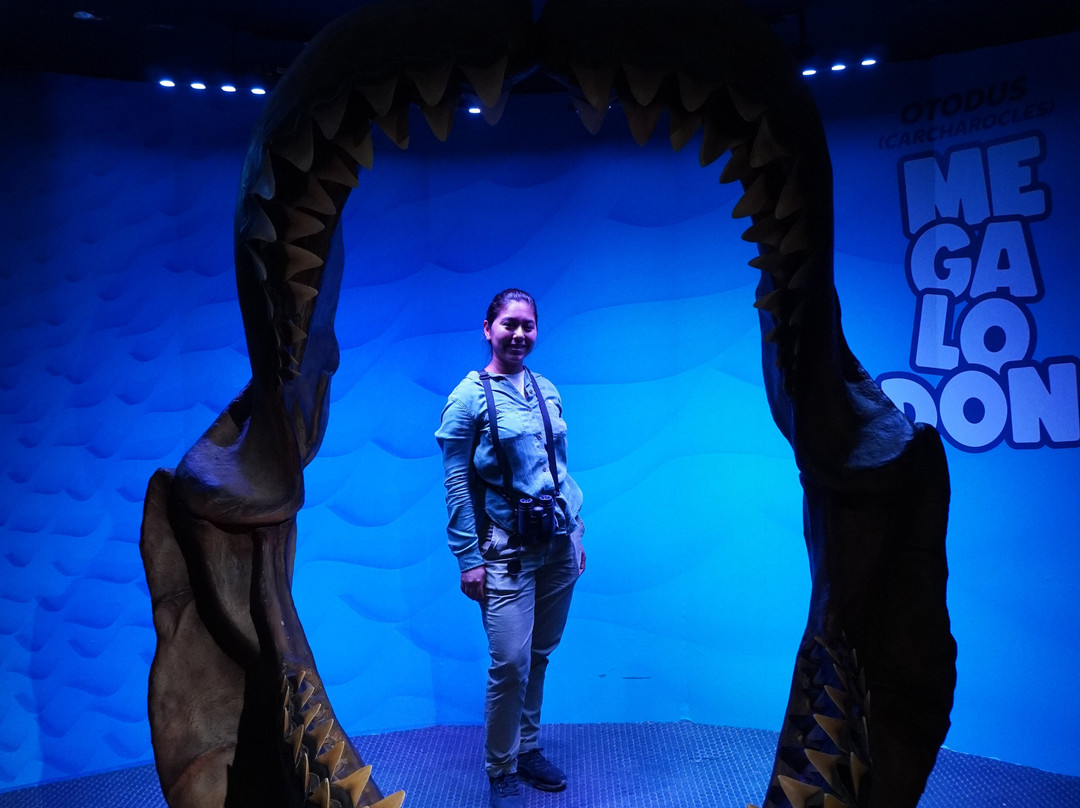 Museo del Desierto-萨尔蒂必去景点