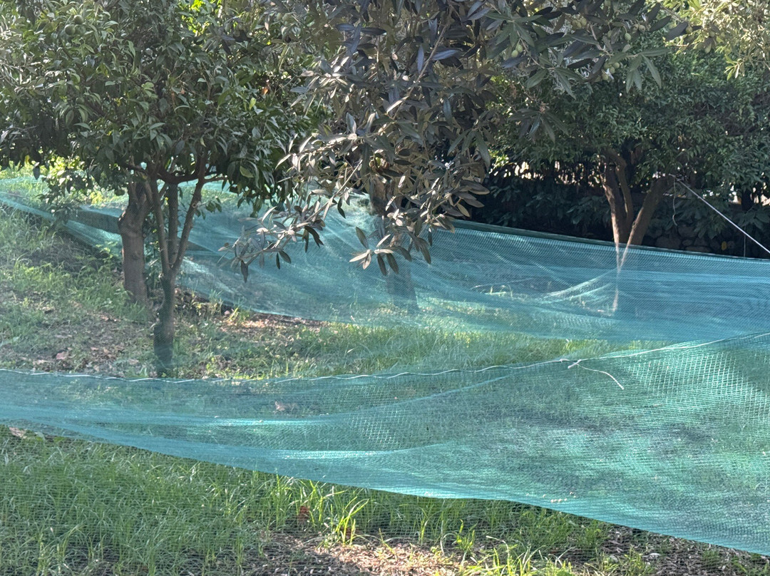 Tenuta Di Leva