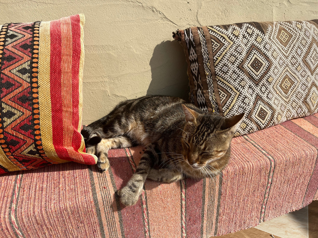 Surf Soul Adventure-Tamraght必去景点