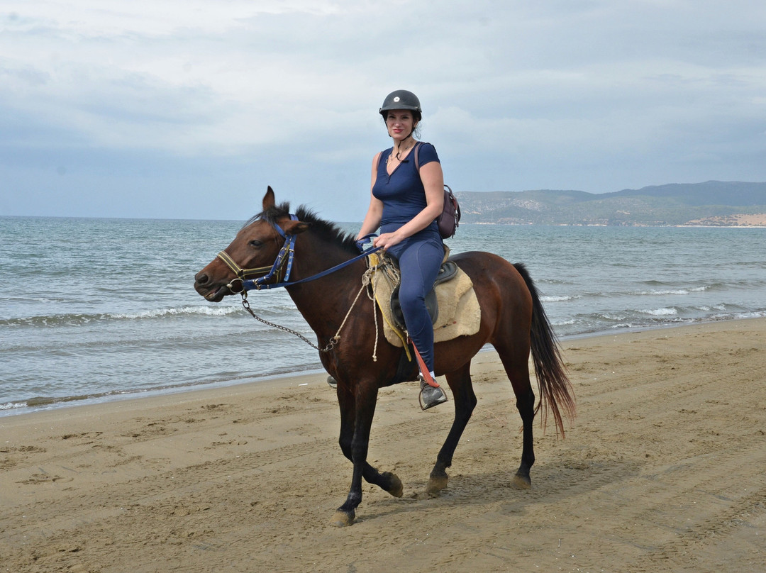 Zephyros Travel-库萨达斯必去景点