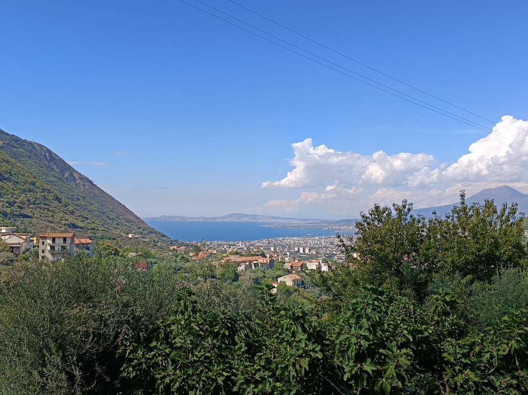 Agriturismo Casa Scola主图