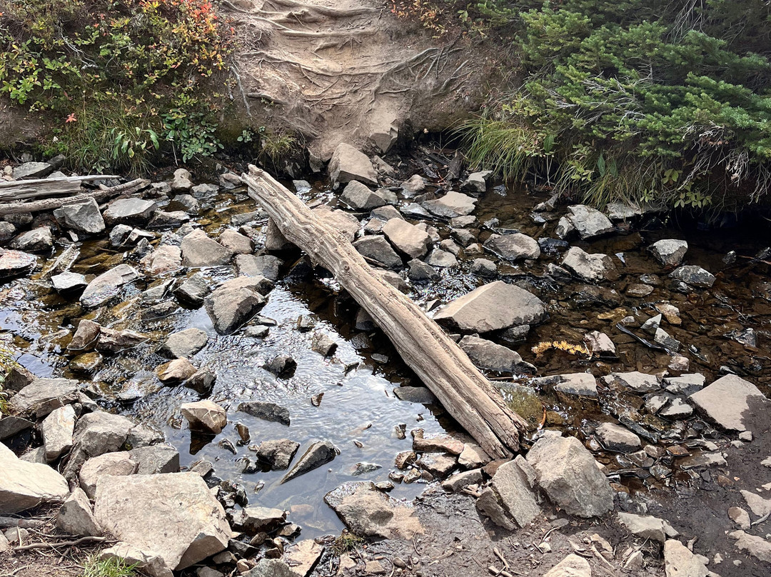 Blue Lake Trail-North Cascades National Park必去景点