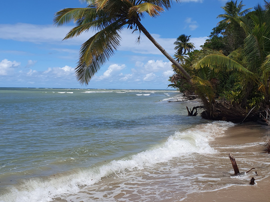 Bahia Terra Turismo E Eventos-萨尔瓦多必去景点