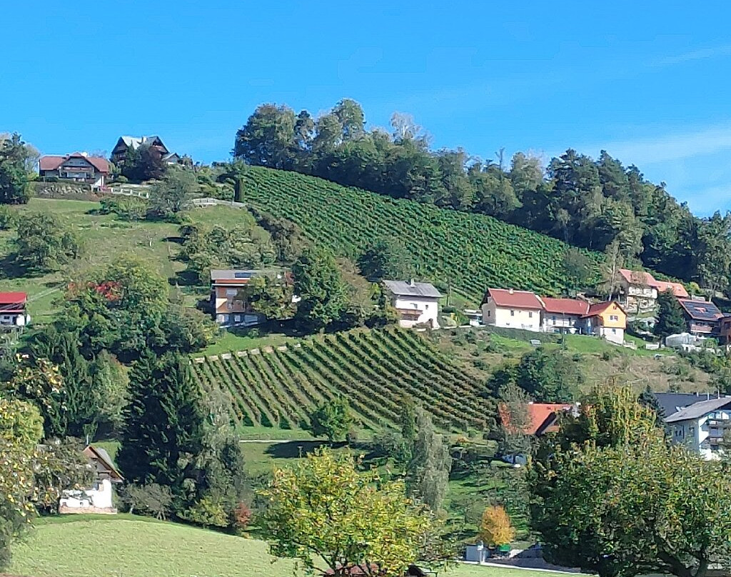 Gasthof Torwirt主图