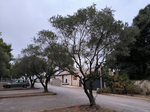 Les Jardins de la Castelle主图