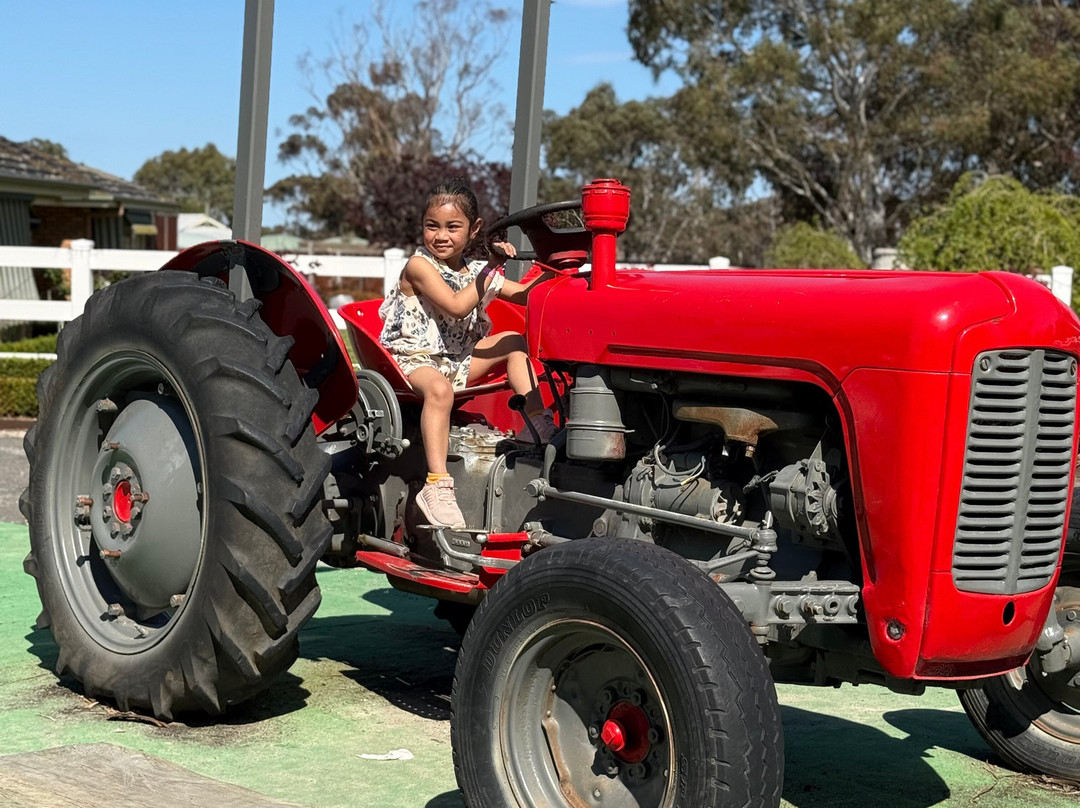 Animal Land Children's Farm-Diggers Rest必去景点