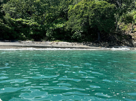 Tamarindo Tours Discovery-塔马林多必去景点