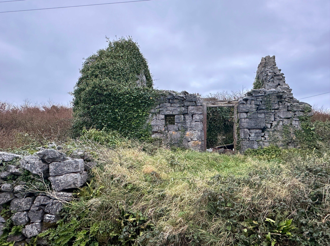 Thomas Faherty Tours-Inishmore必去景点