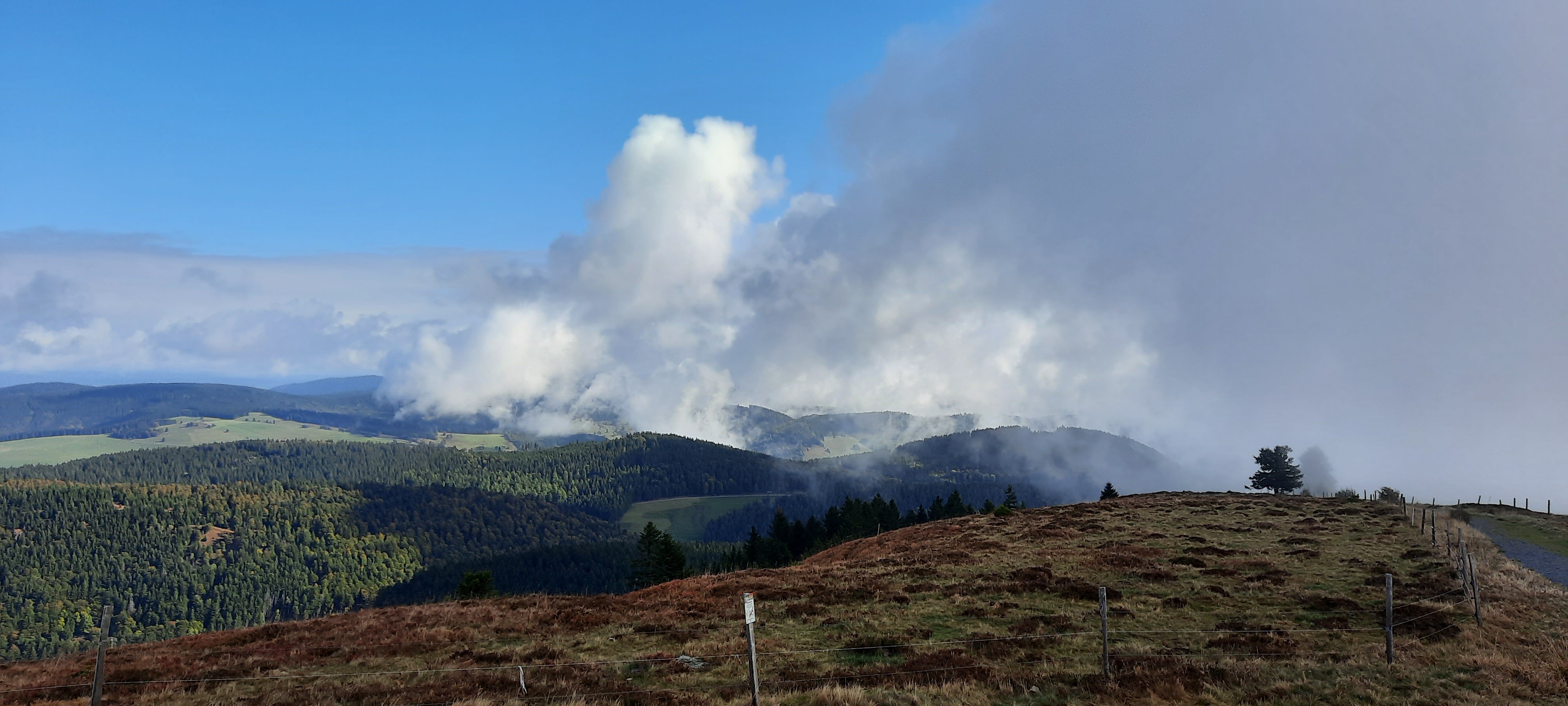 Belchenhotel Jaegerstueble-官方