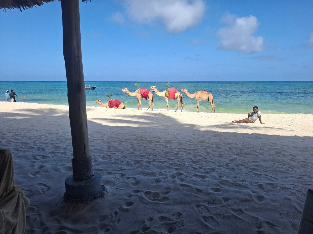 Diamond Beach Resort主图