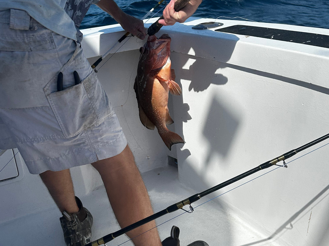 Showtime Fishing Charters-Palm Beach Shores必去景点