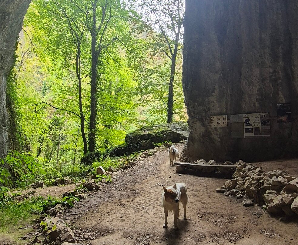Meziad Cave-Meziad必去景点