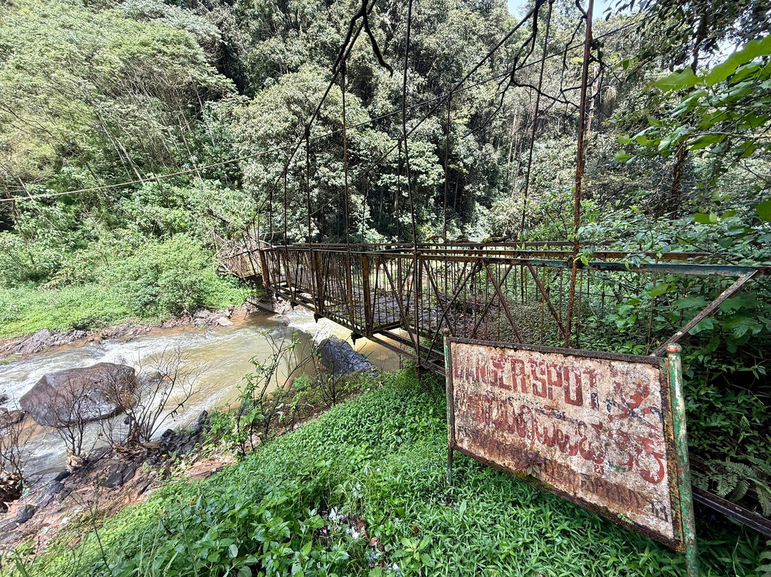 Abbey Falls-马蒂科里必去景点