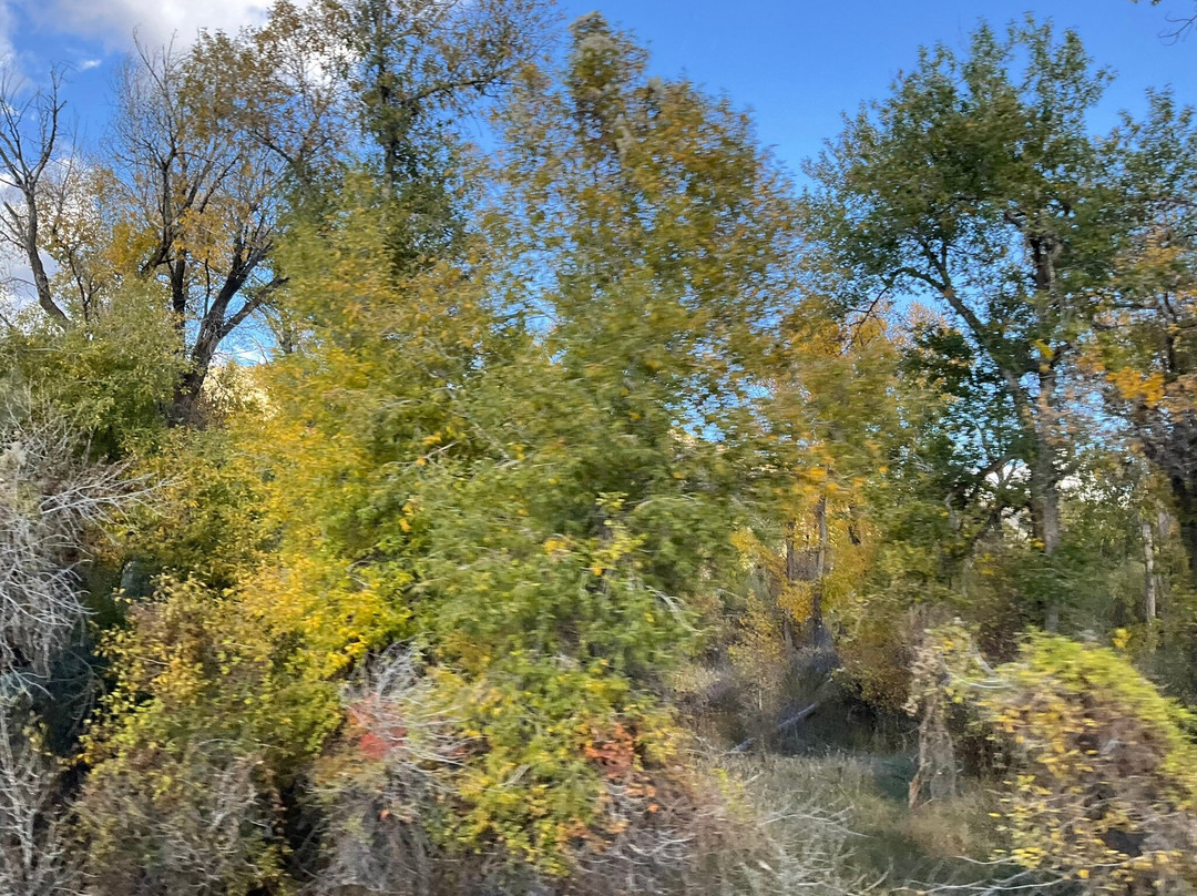 Heise Hot Springs-Ririe必去景点