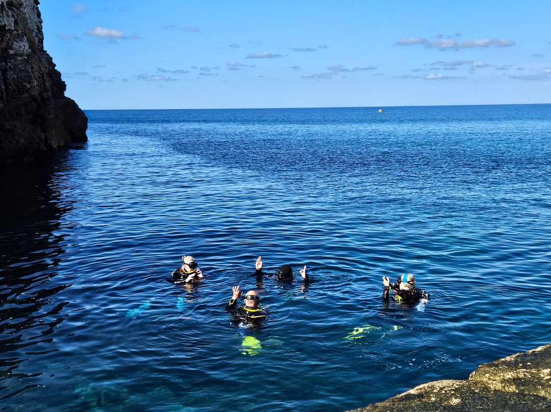 Starfish Diving School-圣朱利安斯必去景点