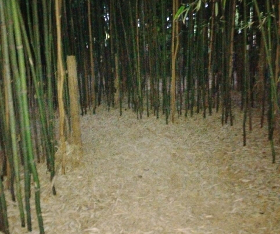 Maize Quest Fun Park-New Park必去景点
