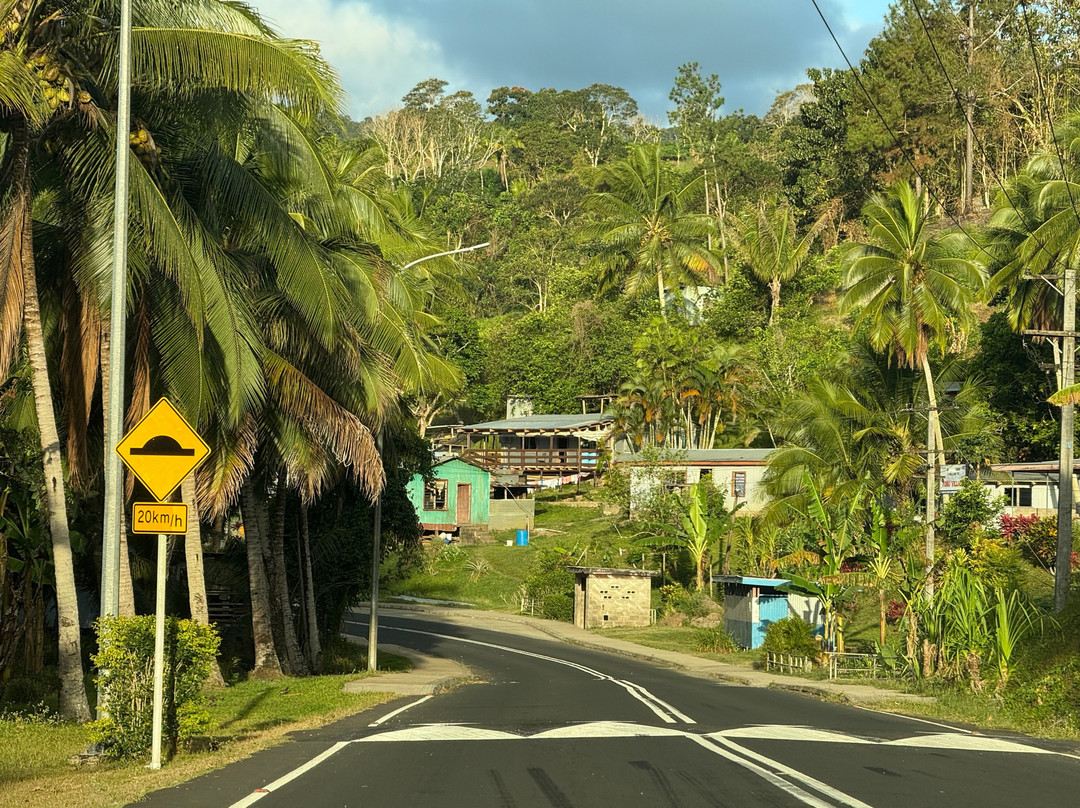 PVV Tours-纳迪市必去景点