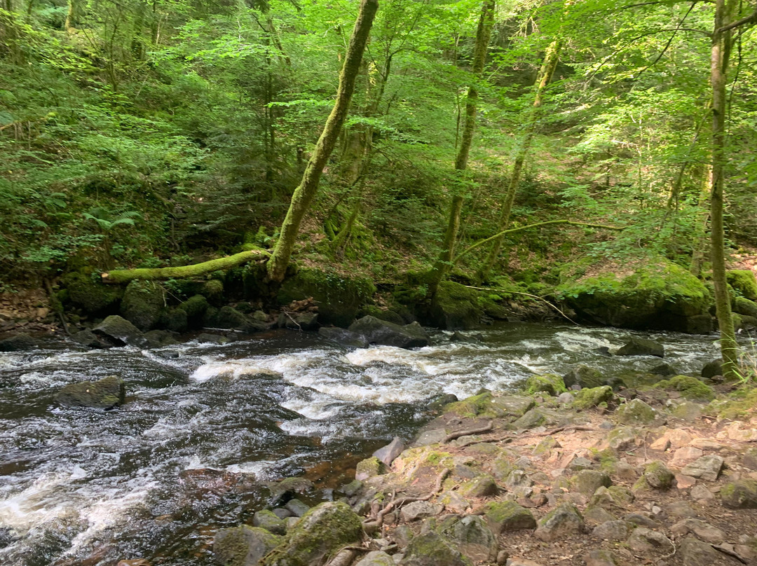 Eglise Saint-Pardoux-Gimel-les-Cascades必去景点