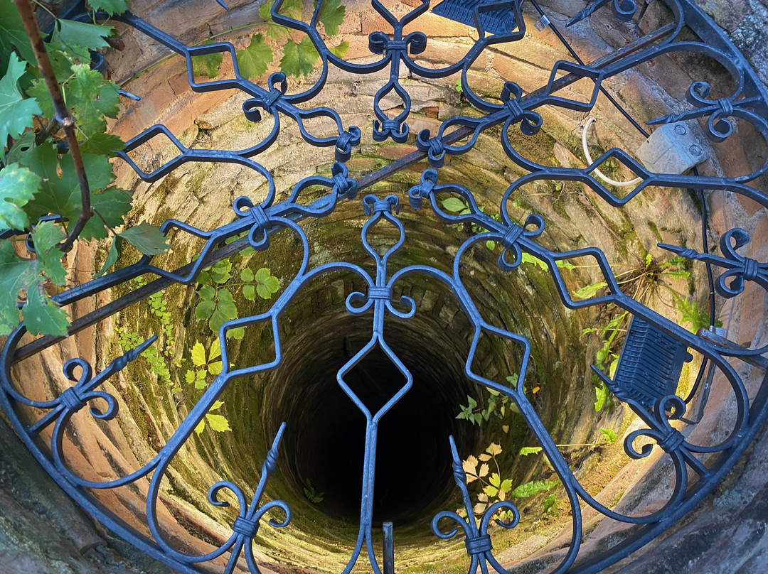 Bio-Weinbau Killmeyer-Matzen必去景点