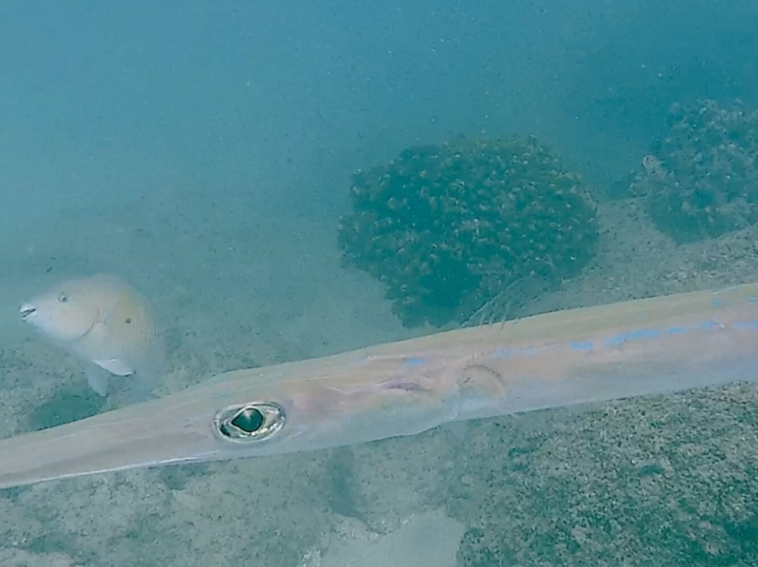 Cabo Pulmo Beach Resort主图