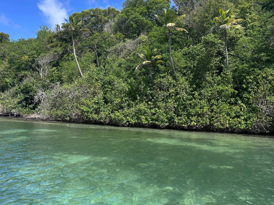 Balade du Soleil-Le Francois必去景点
