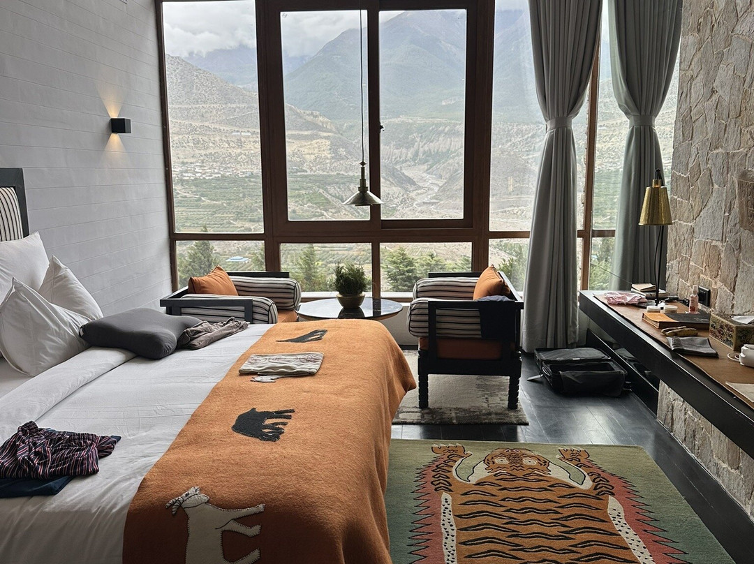 Shinta Mani Mustang主图