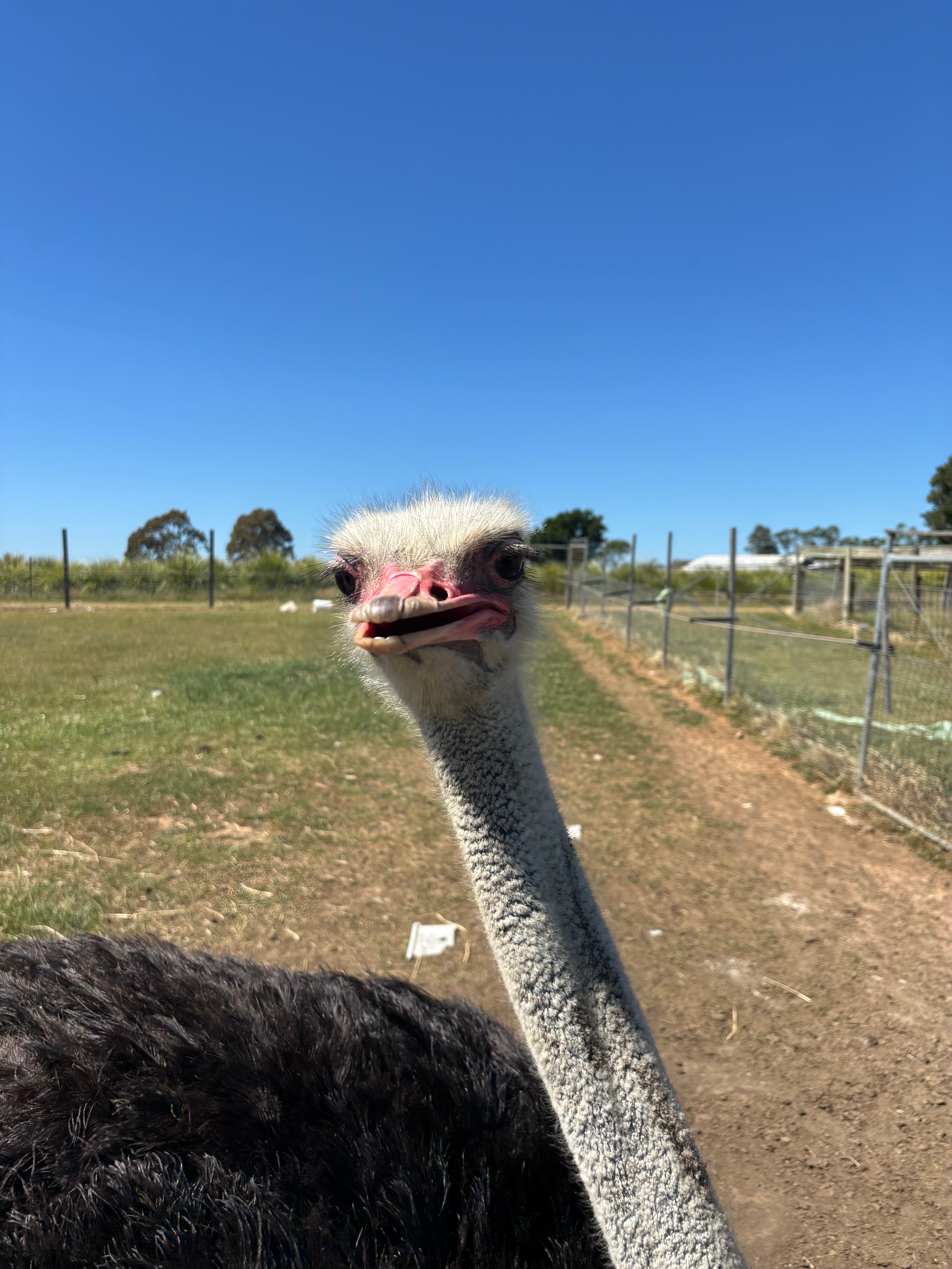 猎人谷度假村-官方