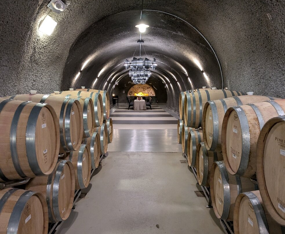 Pine Ridge Vineyards-纳帕必去景点