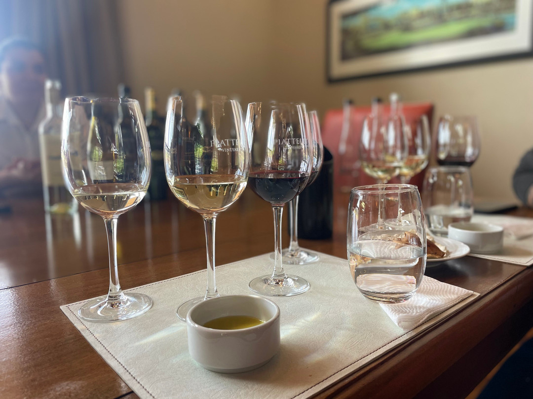 Bodega Piattelli Agrelo, Mendoza-阿格雷洛必去景点