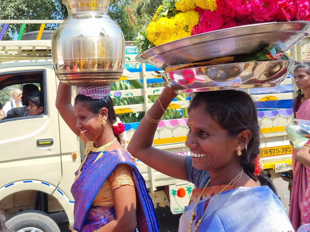 Cardamom House主图