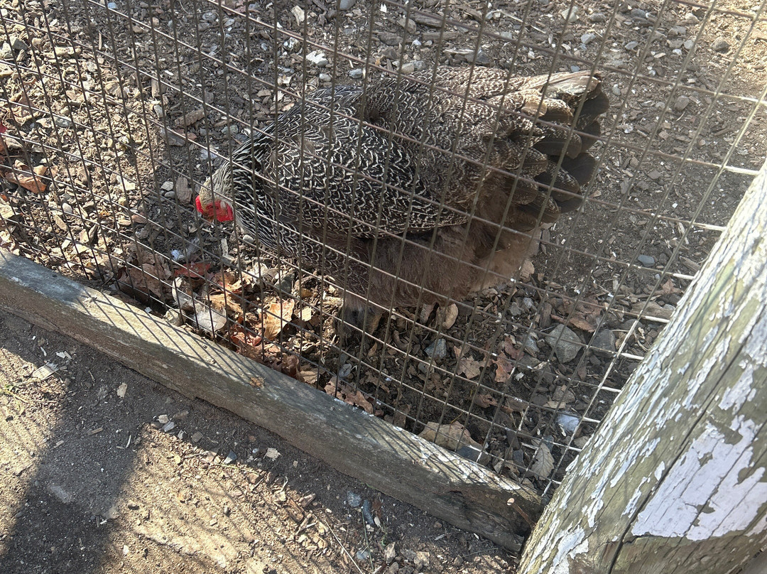 Muscoot Farm-Katonah必去景点