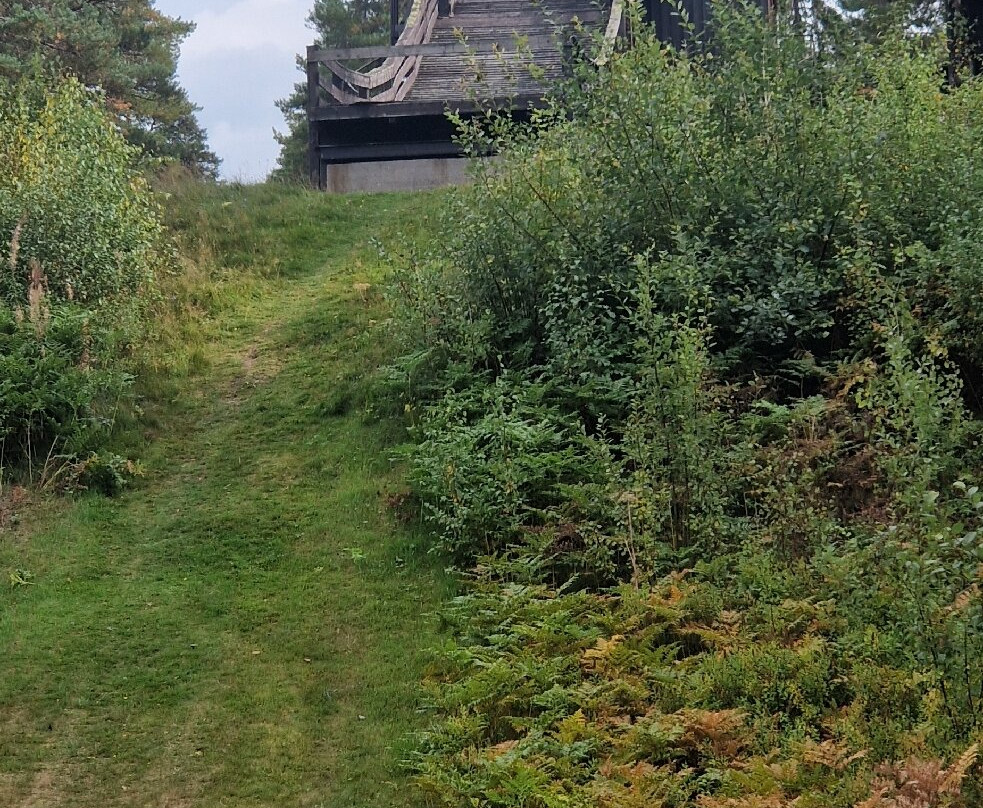 Mullsjö Hotell & Konferens主图