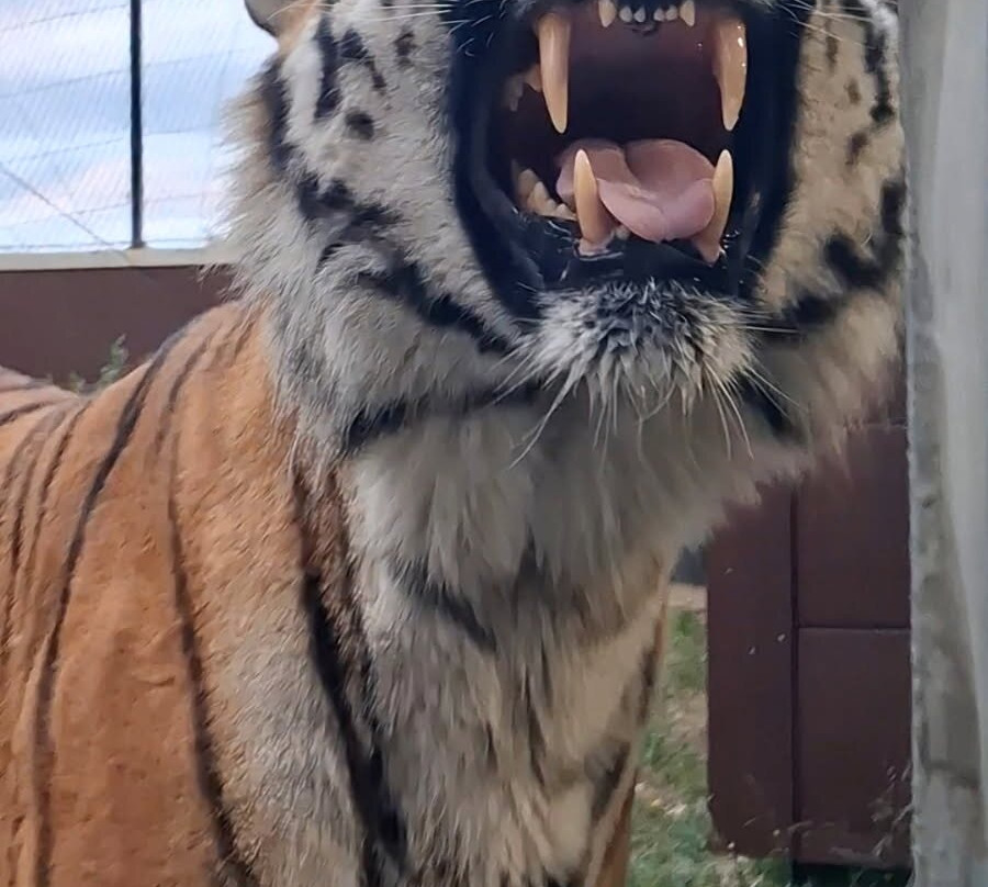 EcoZonia - Parc Animalier-Cases de Pene必去景点