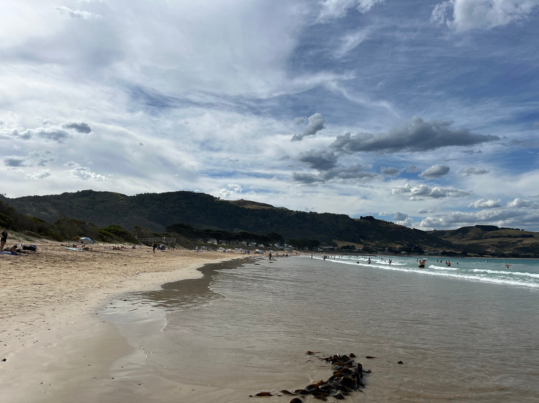 Apollo Bay Beach-阿波罗湾必去景点