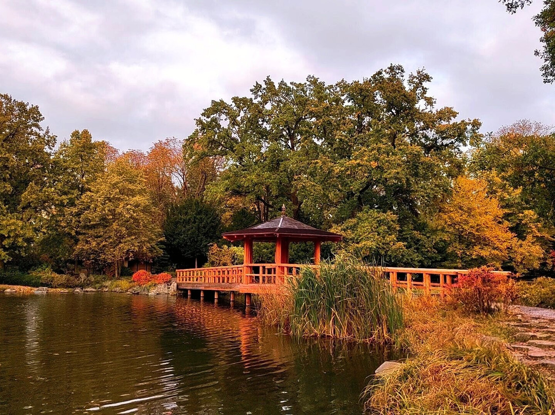Japanese Garden - Szczytnicki Park-弗罗茨瓦夫必去景点