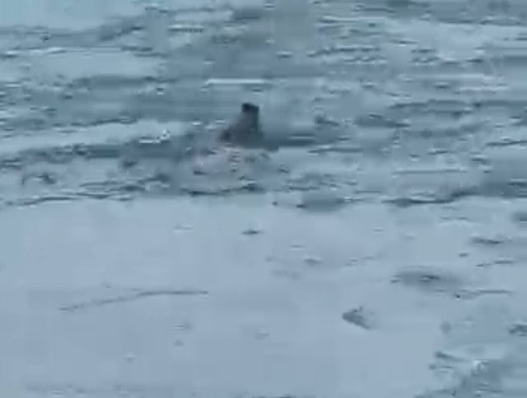 Diamond Beach-Jokulsarlon必去景点