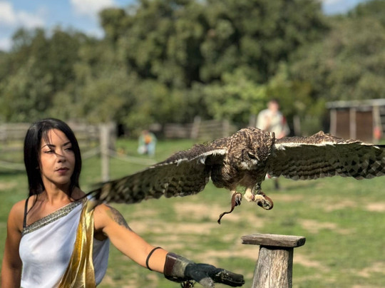 Roma World-罗马必去景点