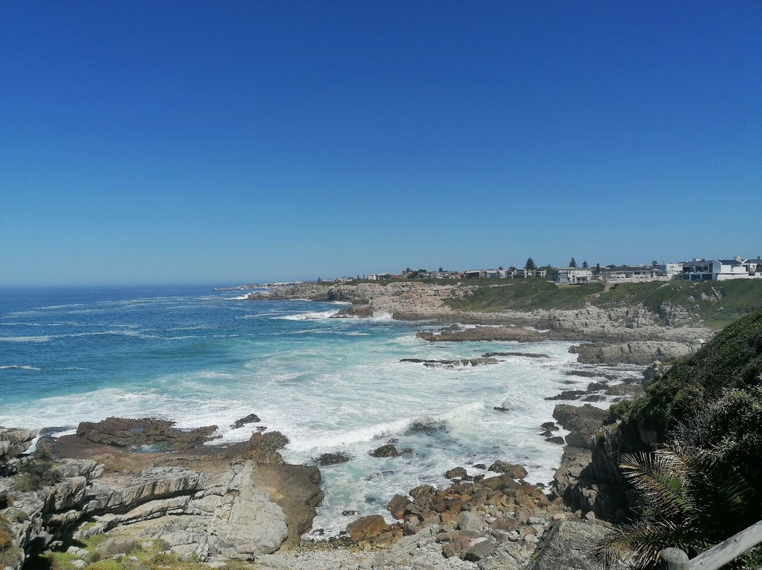 Hermanus Cliff Path-赫曼努斯必去景点