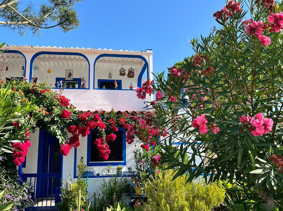 Armona Island-奥良必去景点