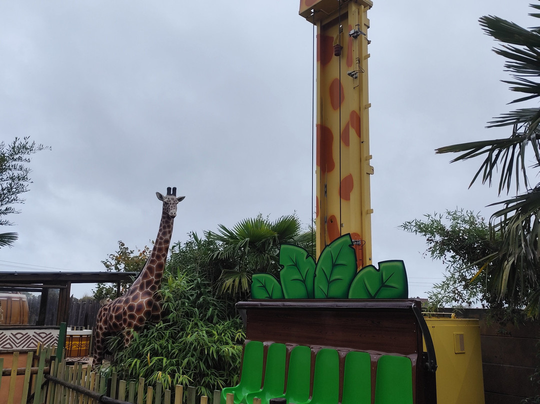 Jungle City-图尔奈必去景点